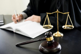 legal advise legal advise